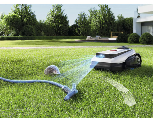 Robot tondeuse avec détection d'obstacles sur pelouse avec hérisson et tuyau d'arrosage