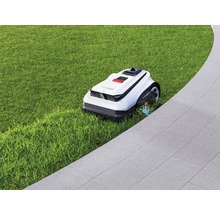 Robot tondeuse sur pelouse à côté d'un chemin pavé