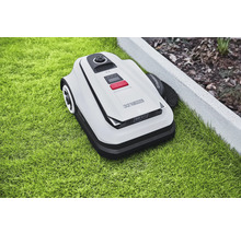 Robot tondeuse sur une pelouse