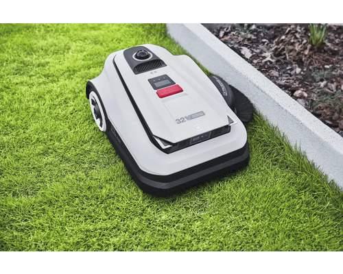 Robot tondeuse sur une pelouse