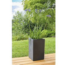 Blumen in einem eckigen Pflanzgefäß im Freien