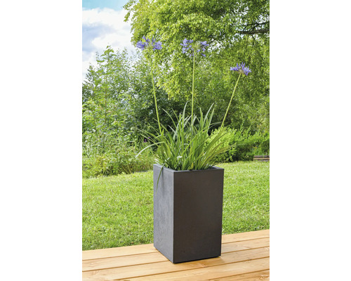 Blumen in einem eckigen Pflanzgefäß im Freien