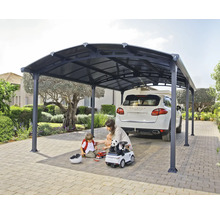 Famille sous un abri de voiture avec voiture