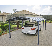 Voiture sous un abri de voiture sur une allée pavée