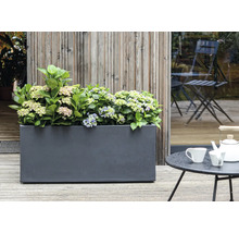 Jardinière avec hortensias sur une terrasse