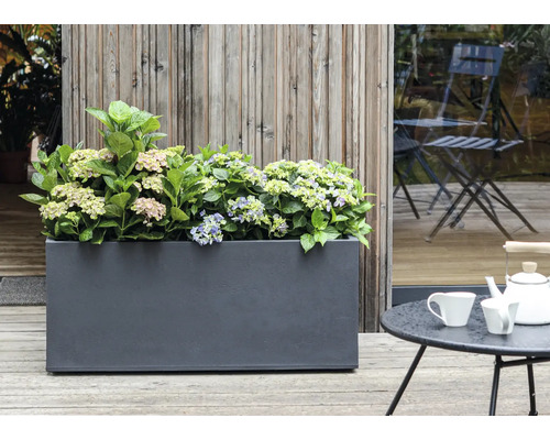 Jardinière avec hortensias sur une terrasse