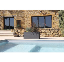 Jardinière grise avec plantation à côté d'une piscine devant une maison