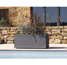 Jardinière rectangulaire avec plantation à l'extérieur.