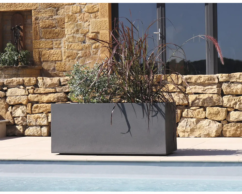 Jardinière rectangulaire avec plantation à l'extérieur.