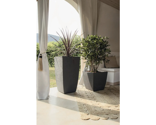 Dekoratives Arrangement mit zwei Pflanzen in grauen Pflanzgefäßen auf einer Terrasse