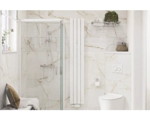 Salle de bains avec douche, radiateur et toilettes dans un aménagement clair et spacieux.