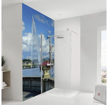 Salle de bain avec paroi de douche et motif du lac Léman