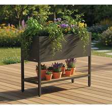 Hochbeet mit verschiedenen Pflanzen und Tontöpfen auf Holzterrasse