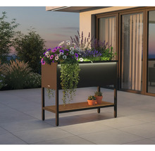 Jardinière surélevée avec espace de rangement et plantes sur une terrasse