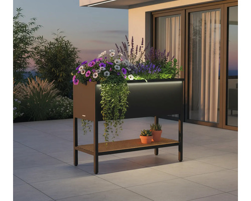 Jardinière surélevée avec espace de rangement et plantes sur une terrasse