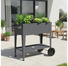 Hochbeet mit Rädern und Ablage im Aussenbereich mit verschiedenen Pflanzen