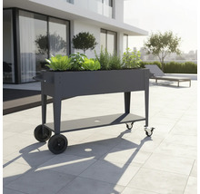 Hochbeet aus Metall mit Rollen und Ablagefläche, bepflanzt mit Salat und Kräutern