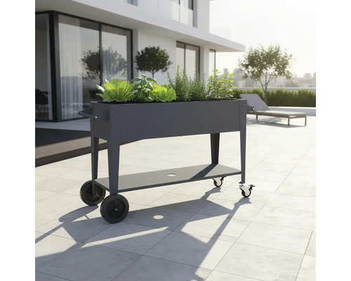 Hochbeet aus Metall mit Rollen und Ablagefläche, bepflanzt mit Salat und Kräutern