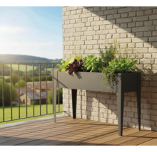 Jardinière surélevée avec plantes sur un balcon avec mur de briques