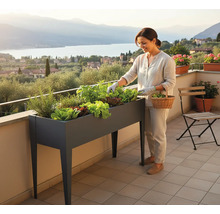 Femme entretenant un potager surélevé avec des herbes aromatiques et de la salade sur un balcon avec vue sur le lac