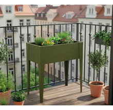Photo d'un balcon avec un potager surélevé, planté de fleurs et d'herbes aromatiques