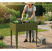 Femme plantant un potager surélevé dans le jardin avec diverses herbes et plantes.
