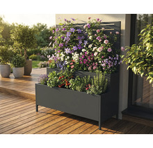 Jardinière à plusieurs niveaux en métal avec treillis et diverses plantes sur une terrasse.