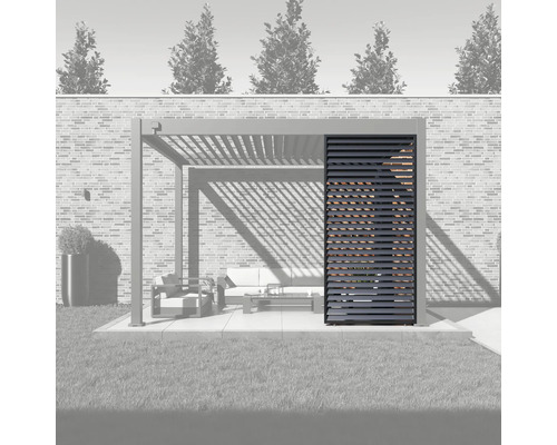 Pergola avec paroi à lamelles dans le jardin