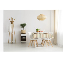 Esszimmer mit Esstisch, Stühlen, Stehlampe, Pflanze und Kommode