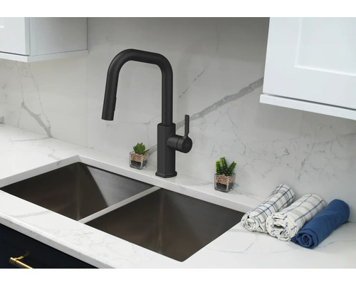 Robinet d'évier dans une cuisine moderne avec un double évier