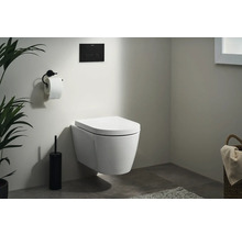 Modernes Badezimmer mit wandhängendem WC, Betätigungsplatte und Toilettenpapierhalter.