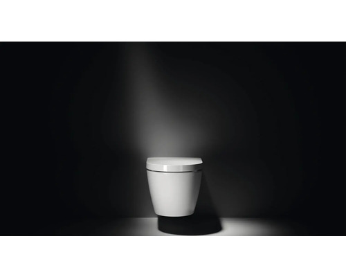 Wand-Tiefspülklosett mit geschlossenem Design