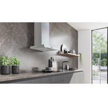 Moderne Küche mit Dunstabzugshaube, Spüle, Kochfeld und Dekoration