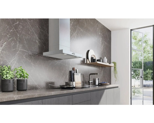 Moderne Küche mit Dunstabzugshaube, Spüle, Kochfeld und Dekoration