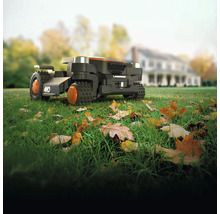 Robot tondeuse Landroid sur pelouse avec feuilles