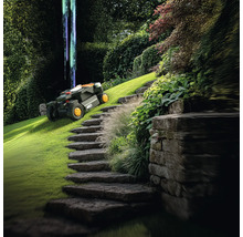 Scène avec un robot tondeuse dans un jardin avec un escalier en pierre et une végétation luxuriante