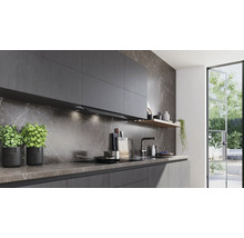 Moderne Küche mit grauen Schränken, Dunstabzugshaube, Spüle und Dekoration