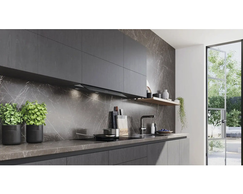 Moderne Küche mit grauen Schränken, Dunstabzugshaube, Spüle und Dekoration