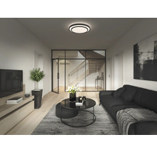 Helles Wohnzimmer mit Sofa, Couchtisch, Zimmerpflanze und Deckenleuchte