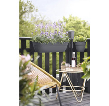 Balkonszene mit bepflanztem Balkonkasten und Dekoration auf einem kleinen Tisch.