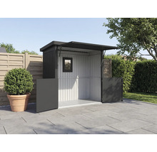 Armoire de jardin avec porte ouverte et fenêtre pour l'extérieur