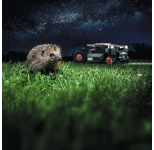 Hérisson dans l'herbe avec robot tondeuse en arrière-plan sous le ciel étoilé