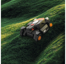 Tondeuse robot sur une pelouse