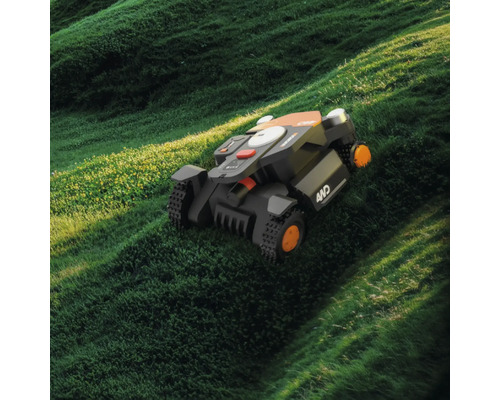 Tondeuse robot sur une pelouse