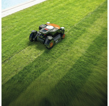 Une tondeuse robotisée tond une pelouse.