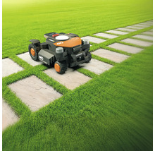 Une tondeuse à gazon robotisée sur une pelouse