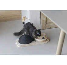 Katze spielt mit einem interaktiven Katzenspielzeug aus Holz und Sisal