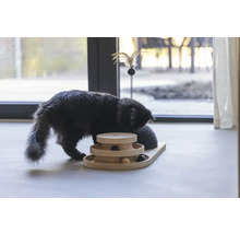 Eine Katze spielt mit einem interaktiven Katzenspielzeug aus Holz und einem Kratzbaum.
