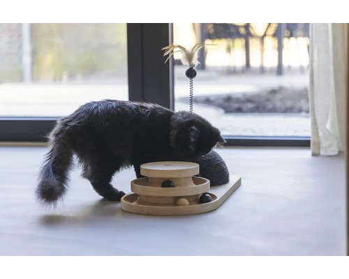 Eine Katze spielt mit einem interaktiven Katzenspielzeug aus Holz und einem Kratzbaum.