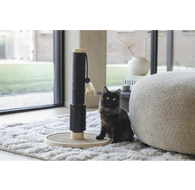 Katze neben einem Kratzbaum im Wohnzimmer.